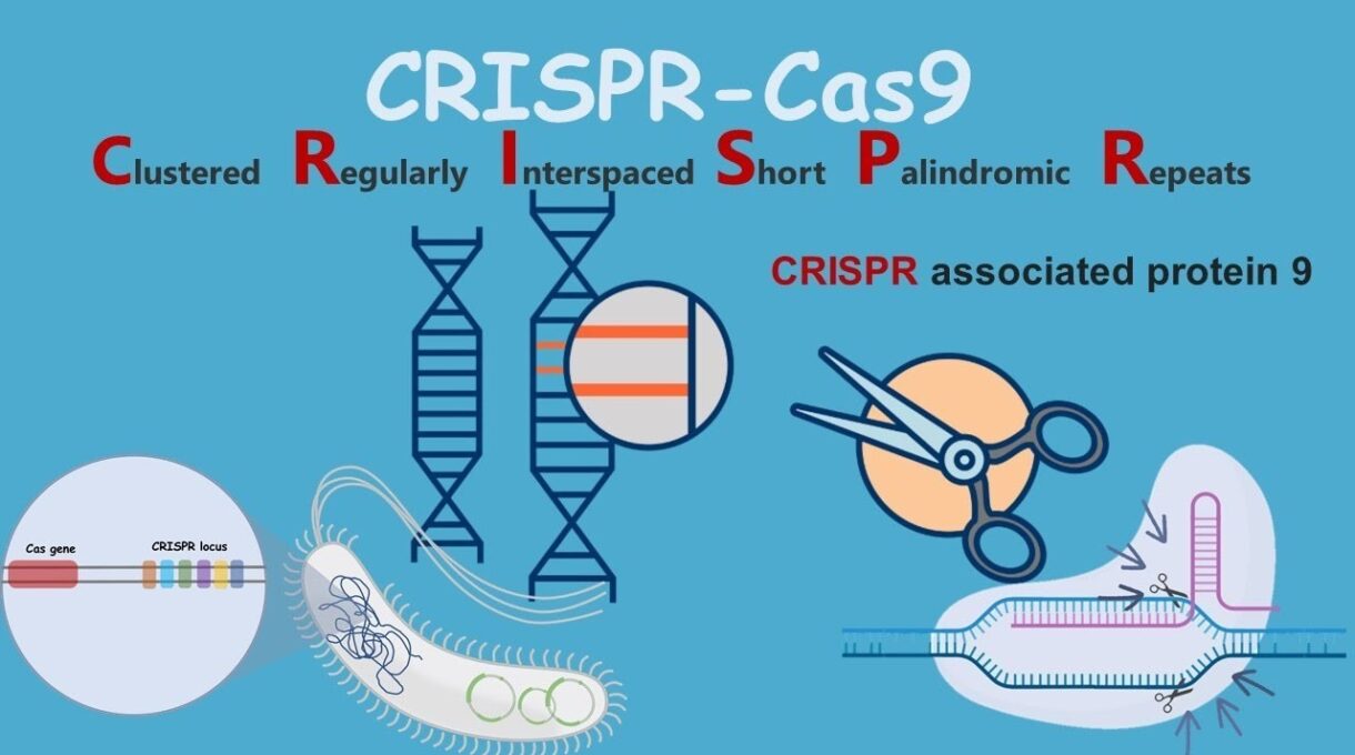 Clustered Regularly Interspaced Short Palindromic Repeats (CRISPR)