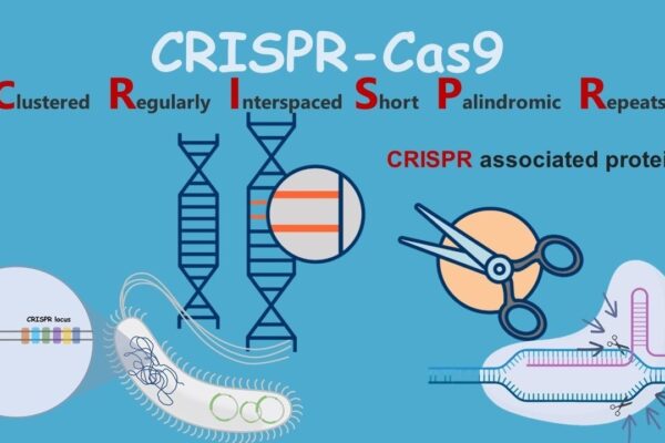 Clustered Regularly Interspaced Short Palindromic Repeats (CRISPR)