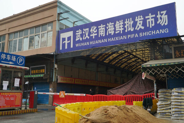 Report: Covid and animal mixtures were present in Wuhan market samples