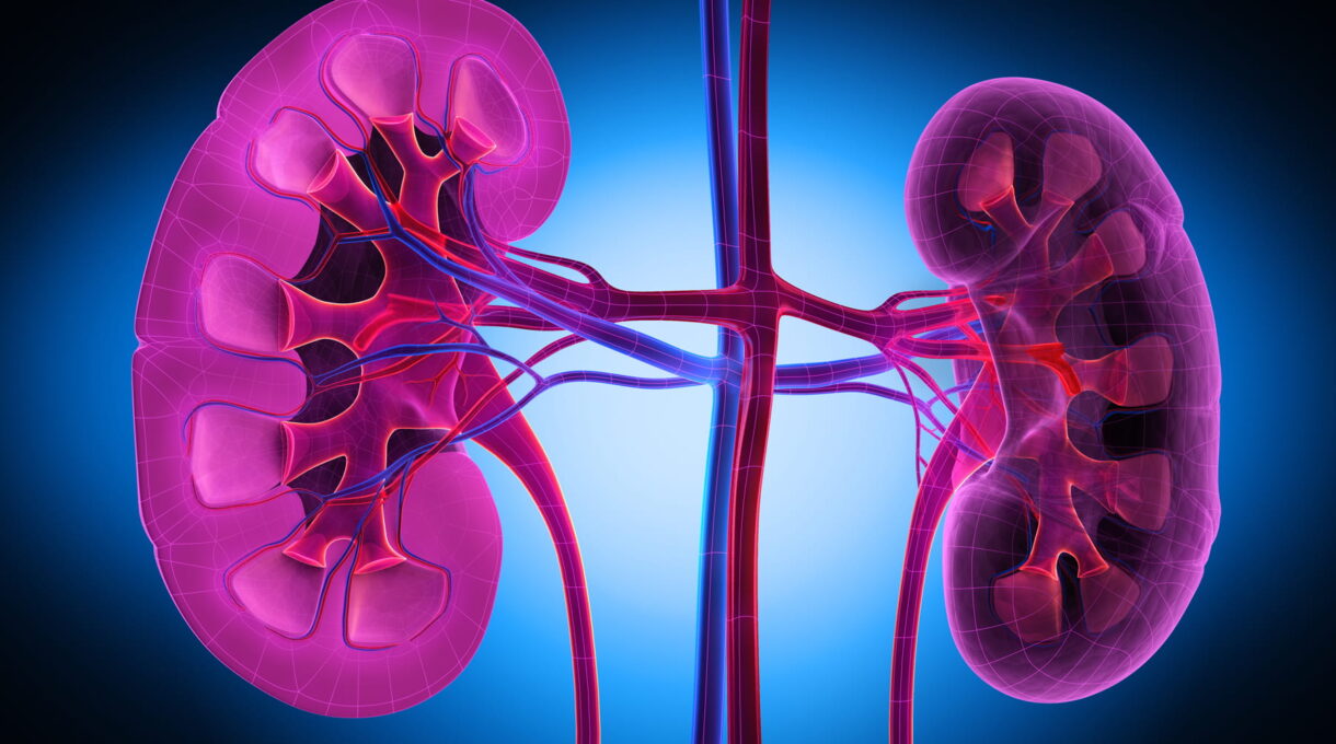 Kidney Treatment