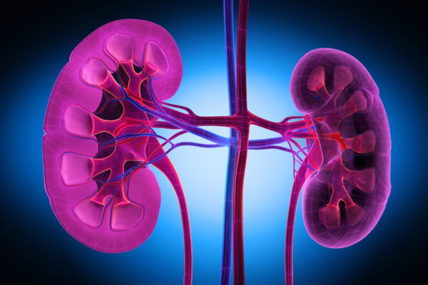 Therapy & Development of the Kidney Disease for better life