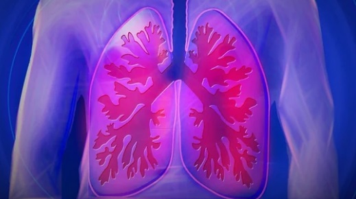 Monitoring Lung Macrophages : An assortment of immune cells