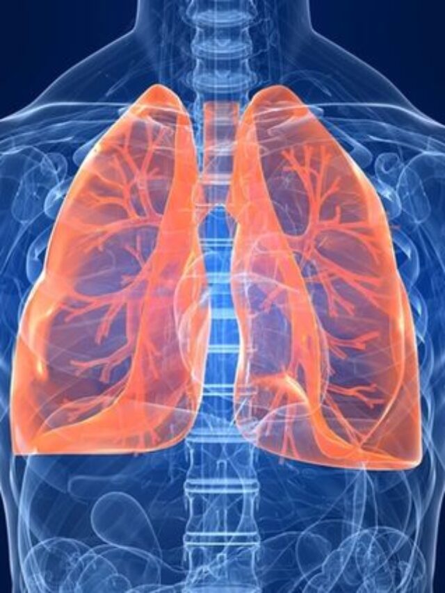 10 Guidelines To Keep Your Lungs Healthy