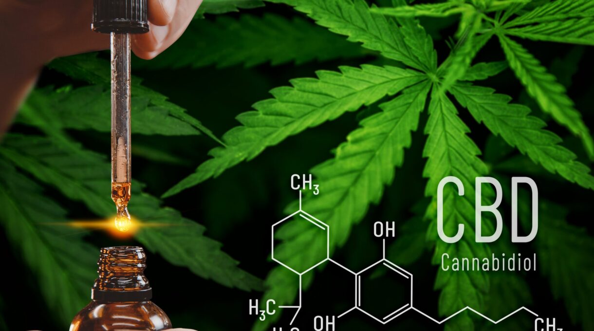 Factors to Consider When Choosing CBD Oil