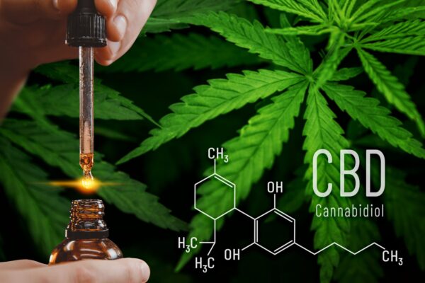 How to Pick Your Perfect CBD Oil