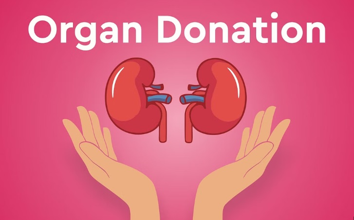 Transplanting Hope: The Ethics Behind Sharing Life Through Organ Donation